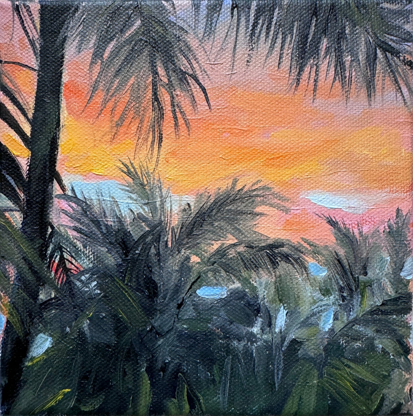 Tropical Sunset Silhouette
