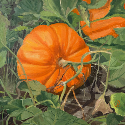 Golden Harvest Pumpkin