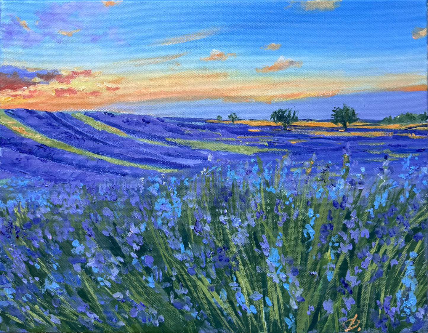 Lavender Fields at Sunset