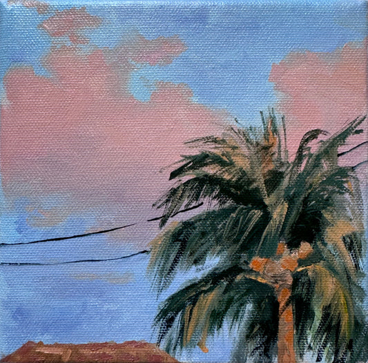 Palm Tree at Dusk